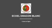 Ecoel Dragon Blanc